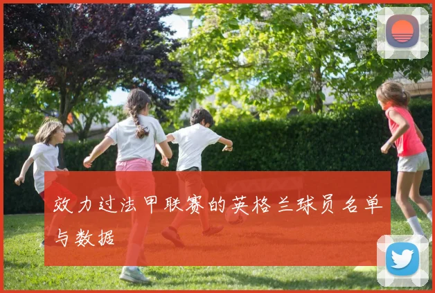 效力过法甲联赛的英格兰球员名单与数据