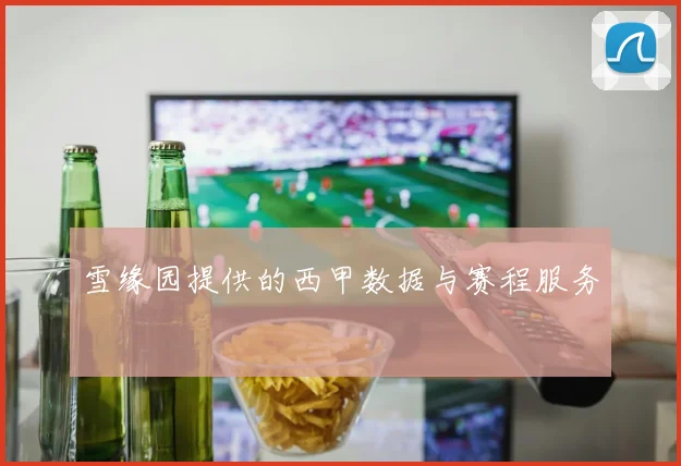 雪缘园提供的西甲数据与赛程服务